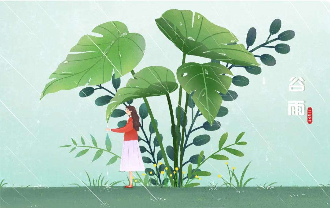 谷雨养生牢记健脾养肝的三个秘诀,春季养肝祛湿最佳方法图片