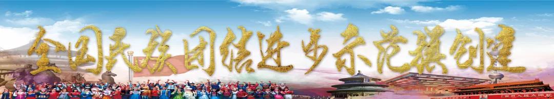 小学生铸牢中华民族共同体书法,铸牢中华民族共同体意识儿童书法