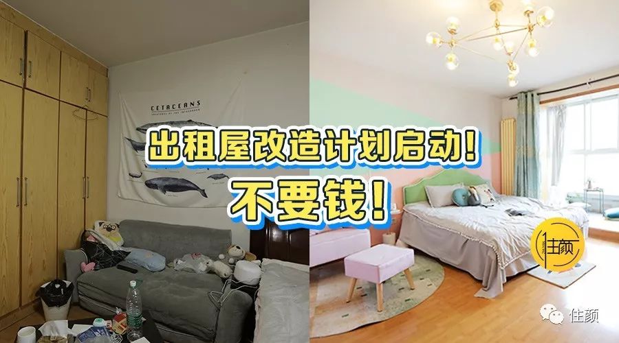 网购家具和实体店家具有什么区别,同样是网店为什么旗舰店的贵