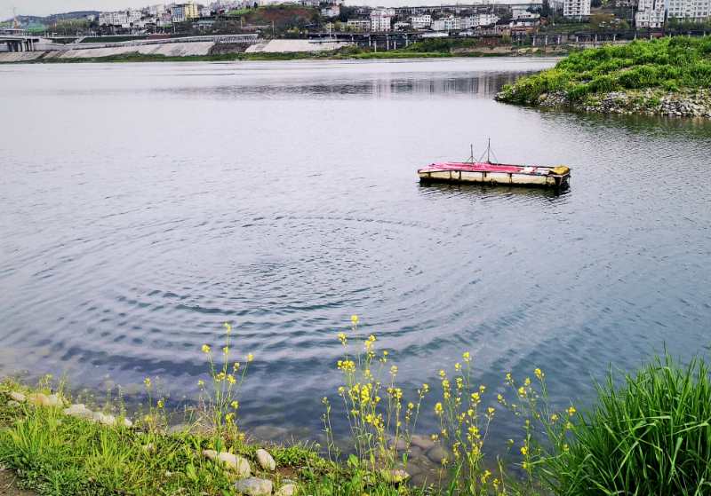 李永明山水画作品,李永明散文