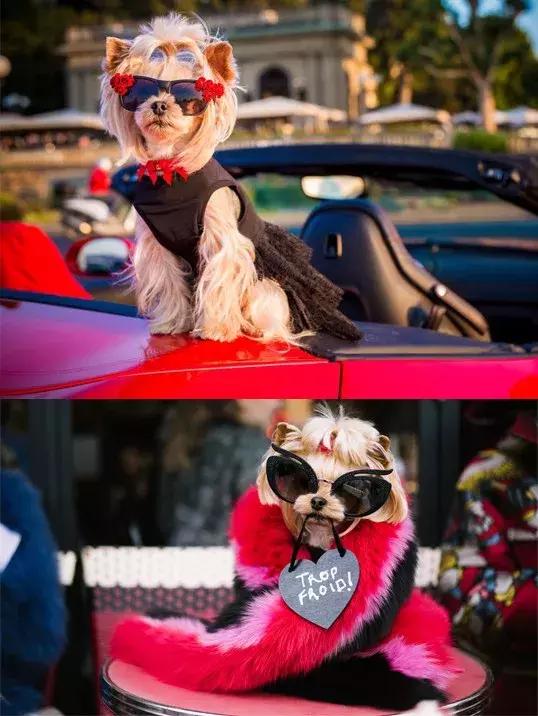 gucci和supreme联名马丁靴,guccisupreme鞋子