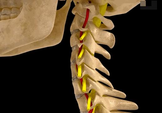 颈椎痛能不能推拿按摩,老人家颈椎痛能不能睡枕头