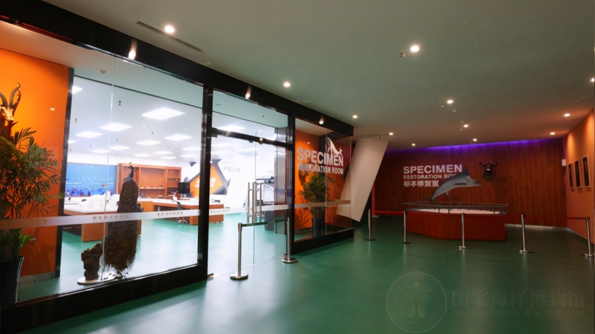 国家海洋博物馆游玩需要多久,天津生态城国家海洋博物馆