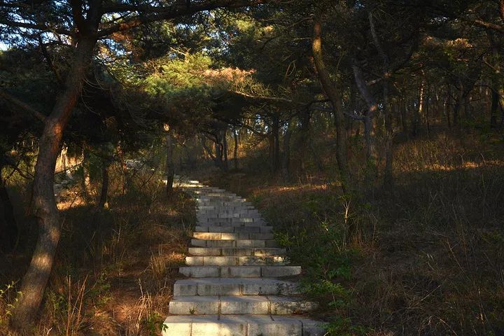大连旅游攻略精致景点推荐,大连必去的打卡景点