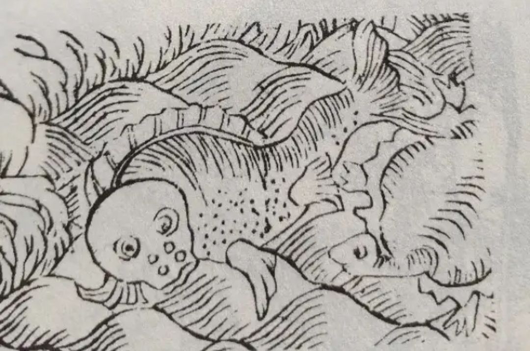 山海经中关于长白山的记载,祷过山