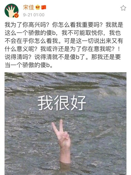 为情所困？宋佳深夜微博“发飙”后删除，字里行间充满“愤怒”