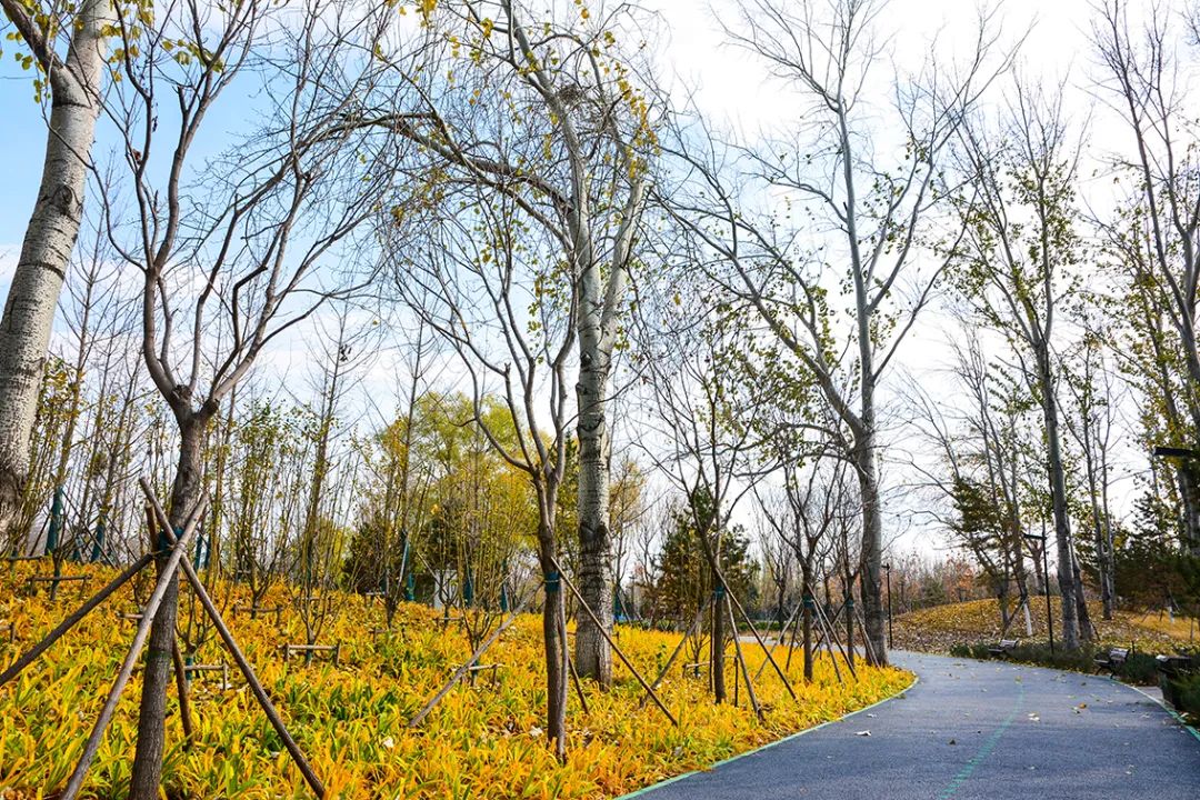 春意盎然北京五大公园,北京区级综合性公园