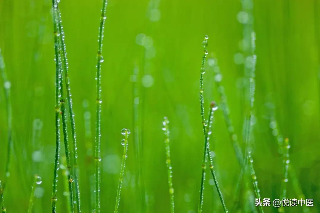 看舌下辨别病症图片,怎么看舌下健康状况