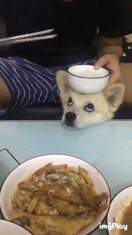 大姐gif搞笑图片,搞笑表情真人动图大全