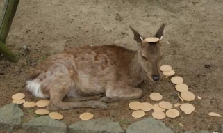 14亿中国人不出门完整视频,中国14亿人口不出门是怎么做到的