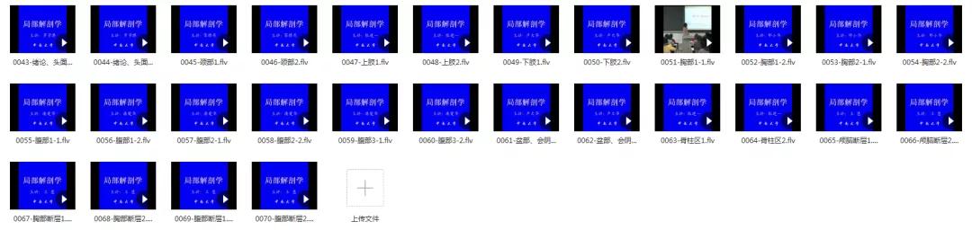 210G解剖学视频，包含系统、断层、运动、人体和局部解剖学
