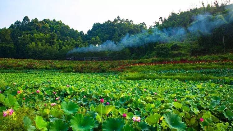 乐山这里藏着一片旖旎好风光,乐山旅游推荐