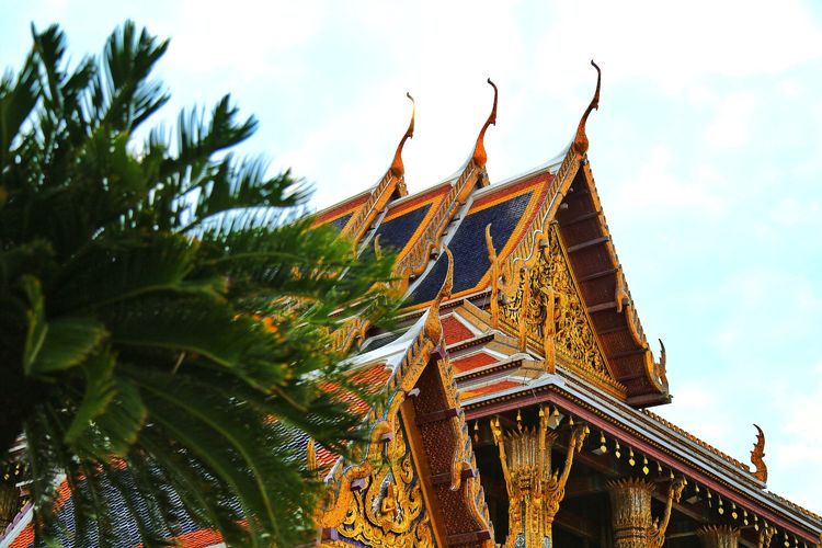 临沂人去日本旅行,临沂人去济南旅游