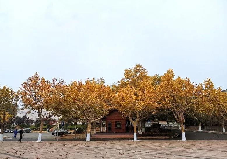 大连海事大学和辽宁省哪个级别高,大连海事大学辽宁省大学排名