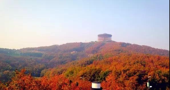 大连枫叶最佳观赏时间,大连枫叶红视频