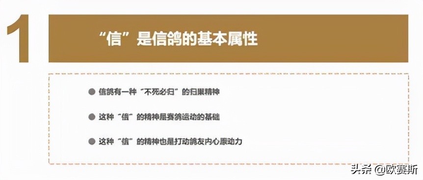 第八届超级品牌日,超级品牌日