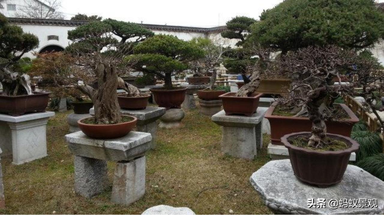 陈从周的园林作品有哪些,陈从周中国园林风格