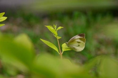 成功的人都会有的7个习惯,成功的人就靠一种心态