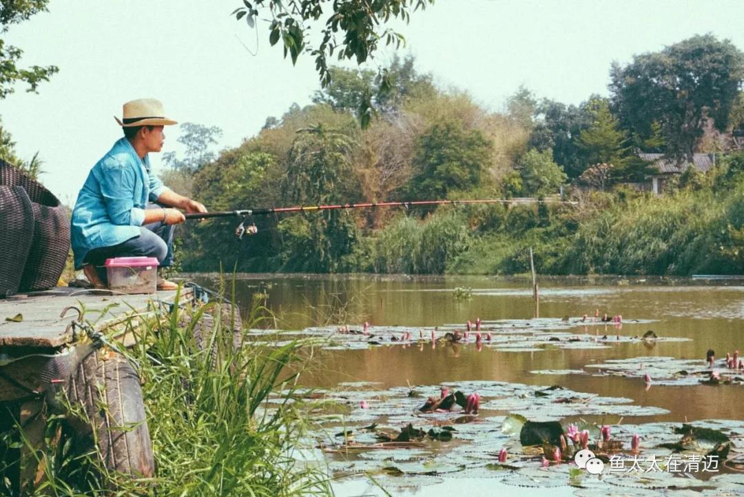 在清迈短租房一个月多少钱,在清迈住一个月花费多少
