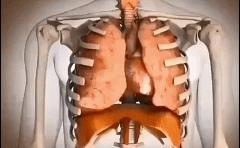 网红束腰真的很厉害吗,揭秘网红束腰