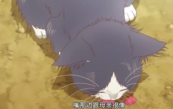 《同居人是猫》一月不容错过的治愈番网友：又想骗我养猫