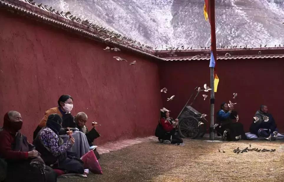 神秘的藏地精灵，米拉子子与米拉的故事