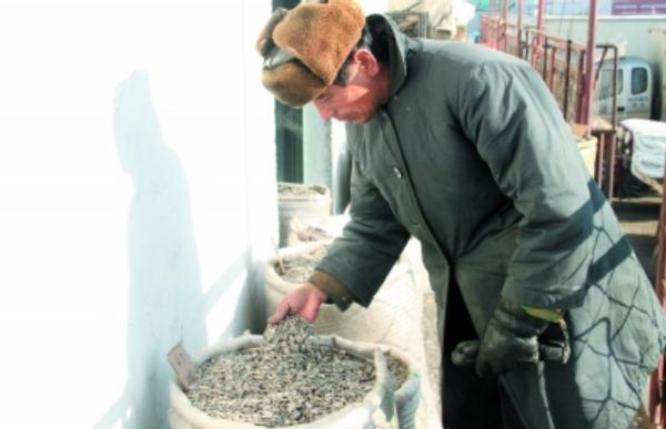 怎样挑选出坏的瓜子,怎么挑选瓜子最好方法