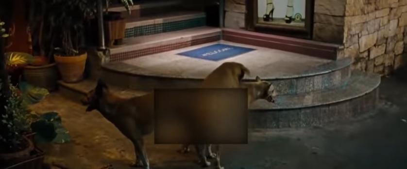 8元出*身卖**体,一天接40客人…纪录片揭底层*女妓***身卖**血泪