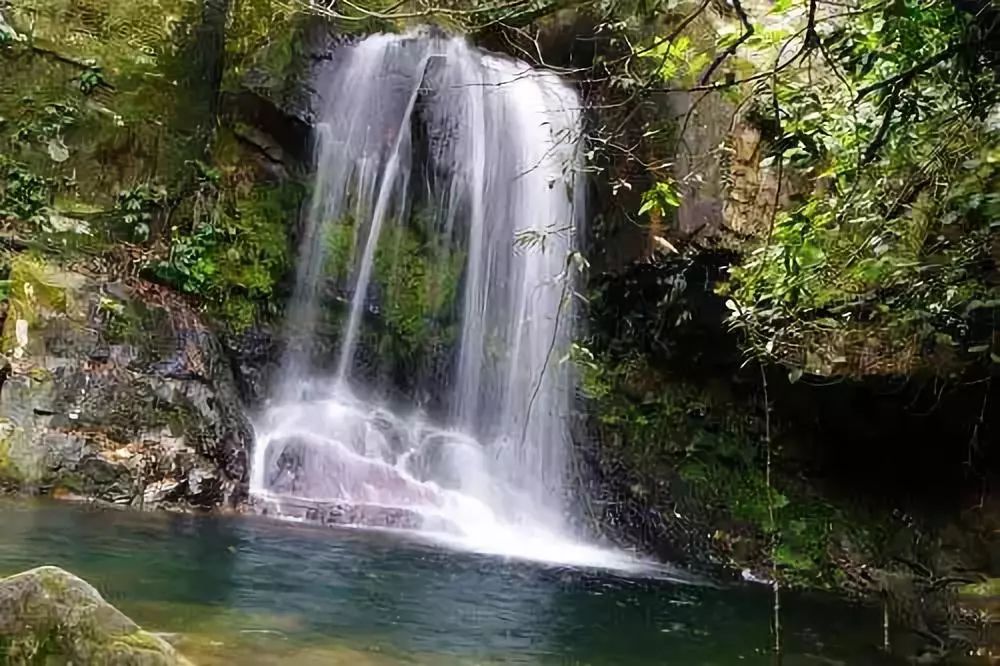 宁夏一个你来了就不想走的地方,宁夏固原最好的地方
