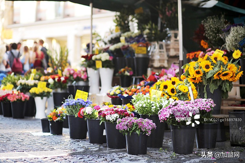鲜花店利润最大化,开鲜花店利润怎样