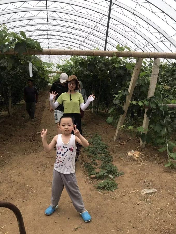 说走就走的一日游旅行,盖州市白沙湾旅游攻略