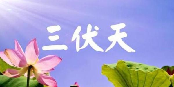 加长版三伏天来了你准备好了吗,加长版的三伏天到来你准备好了吗