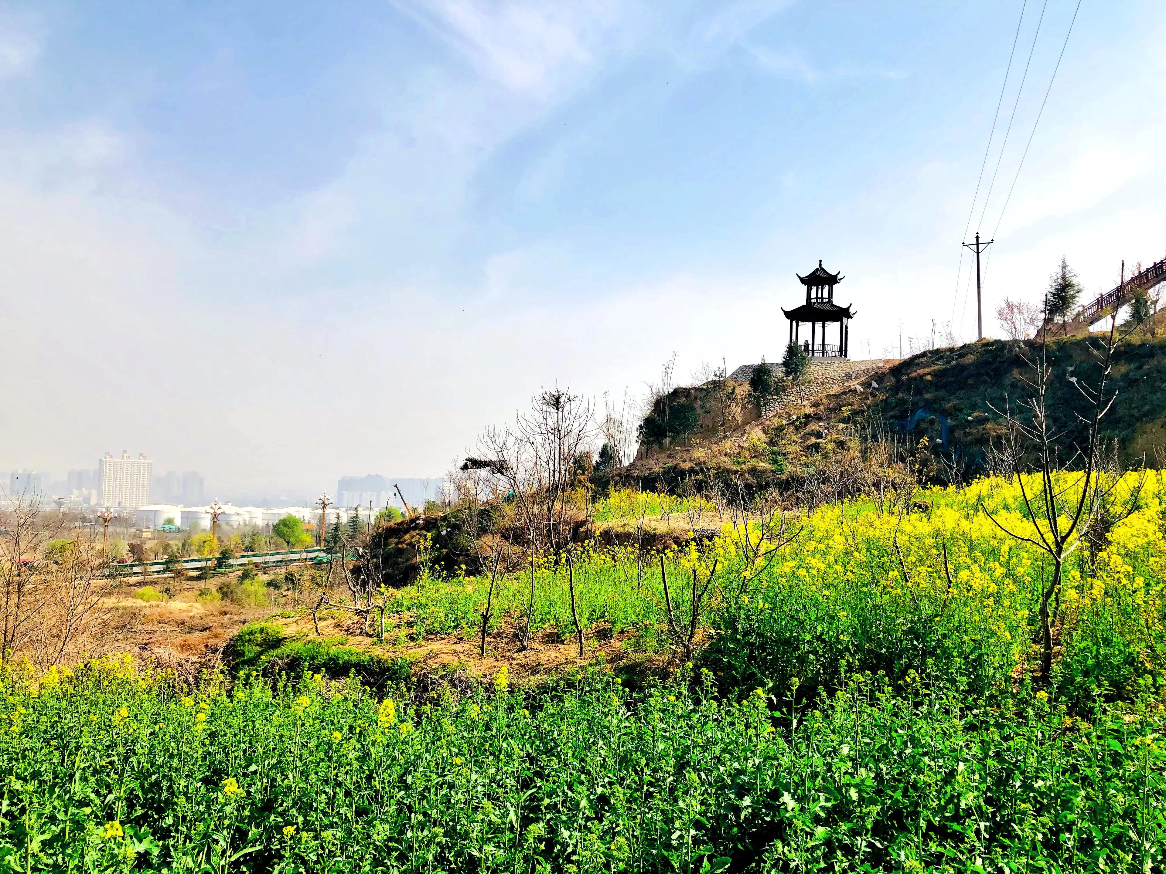 金塘半日游,白鹿原一日游攻略