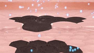 怎样敷水光面膜,明星每天敷面膜