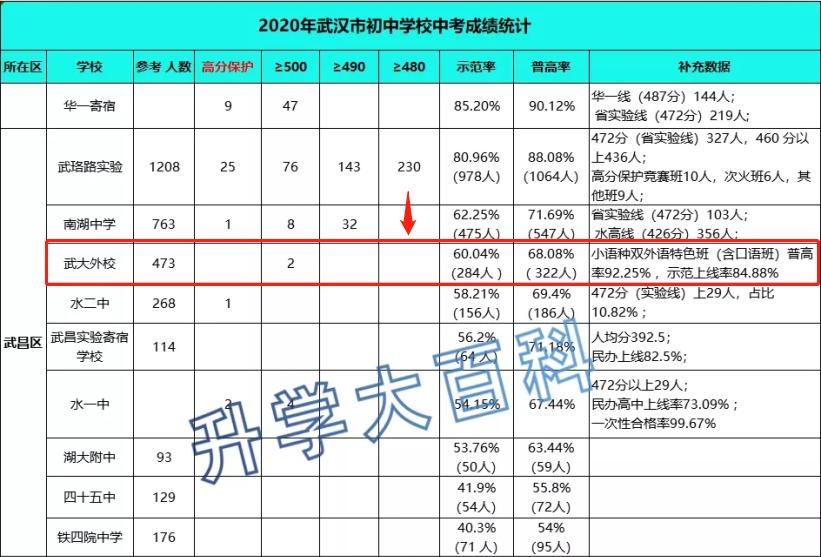 真香！读三年初中省几万块！？还能直升德国名校|名初解读