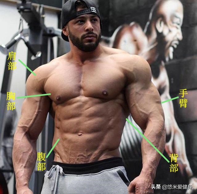 用哑铃做全身力量训练有哪些动作,一副哑铃如何练遍全身肌肉