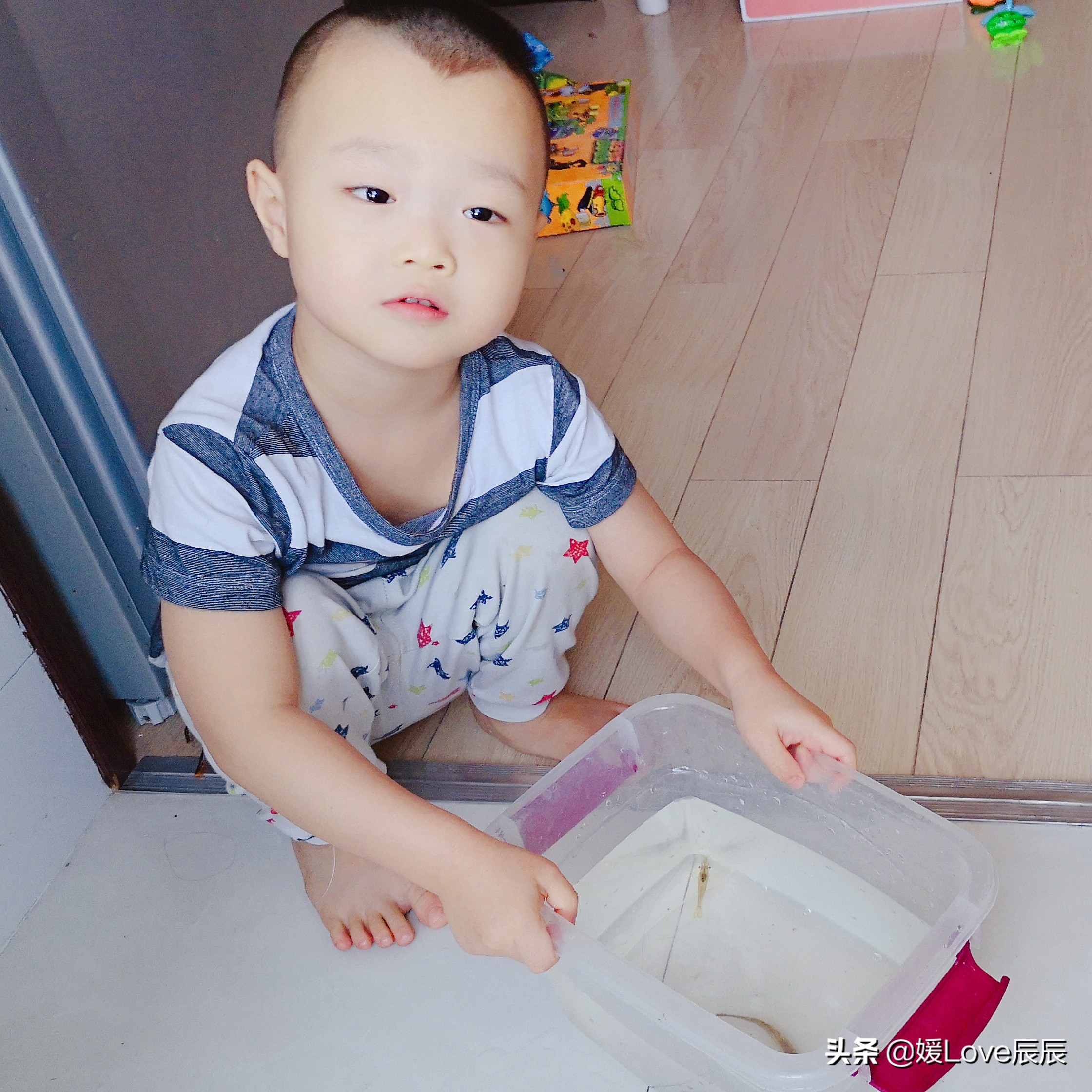 育儿百科十万个为什么,宝宝早教十万个为什么