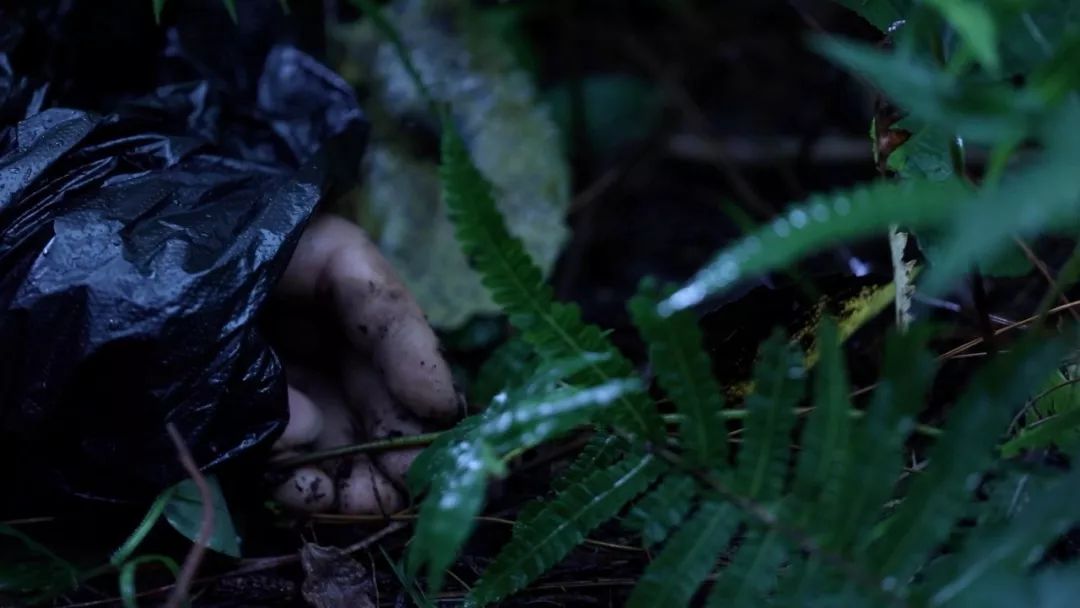 央视重口法医纪录片，网友直呼看不过瘾