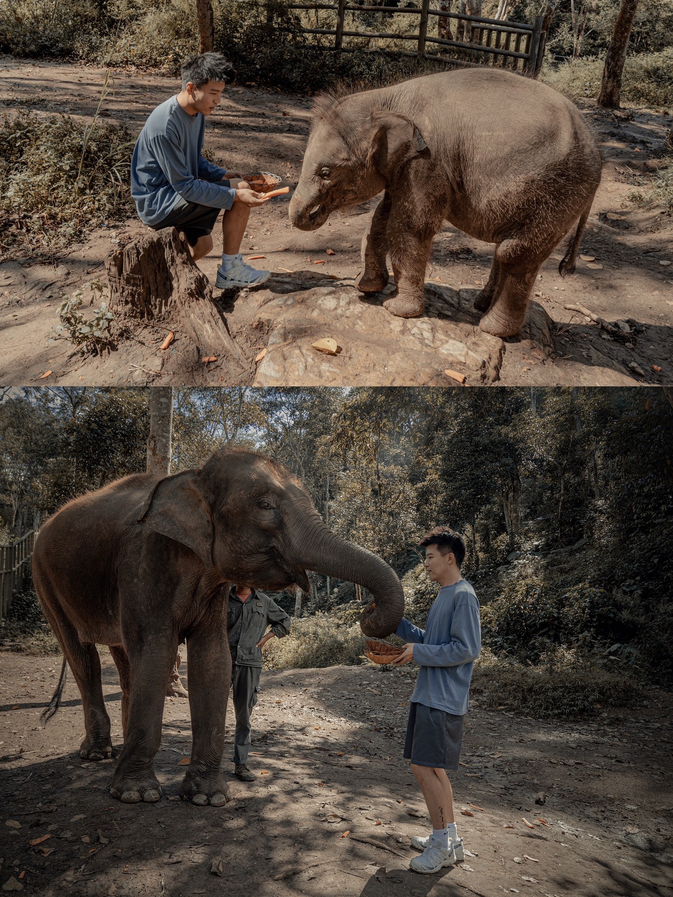 5月份去云南攻略,五月去大理与版纳