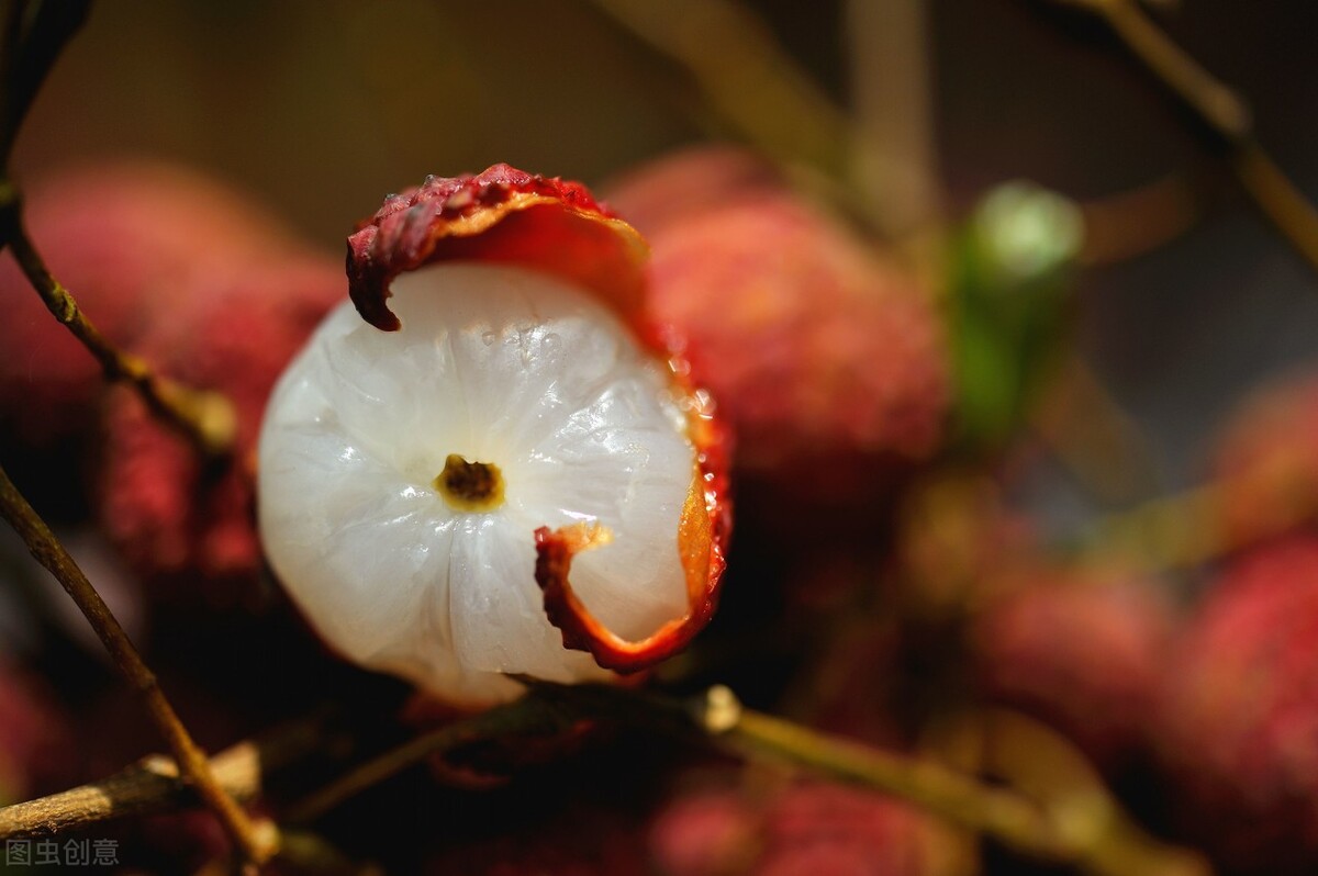 挑选龙眼肉最好的方法,挑选龙眼的最佳方法