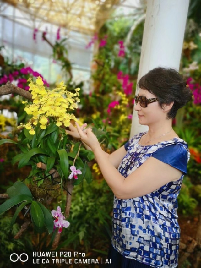 广州云台花园花展,广州云台花园咋样