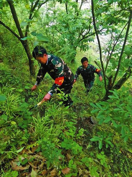 广西护林员要做什么,广西招募护林员