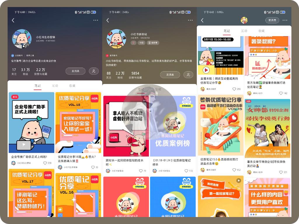 小红书文章如何被收录,小红书爆款攻略在哪