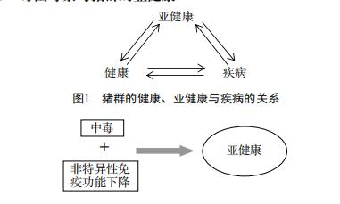 春季养猪,猪群霉菌毒素中毒的防治办法