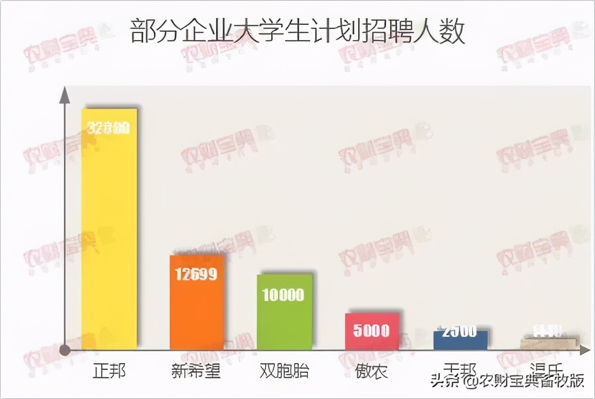 猪企招工,猪企员工现状待遇