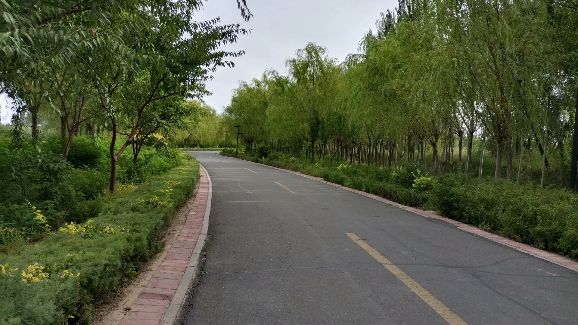 出淤泥而不染濯清涟而不妖原文,出淤泥而不染濯清涟而不妖行书