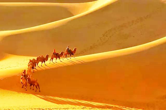 摄影怎么使前景虚化,摄影为照片增添感觉的5个技巧