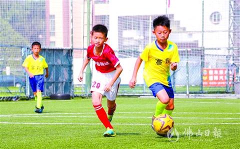 广东体育直播在线观看,广东体育今晚赛事直播