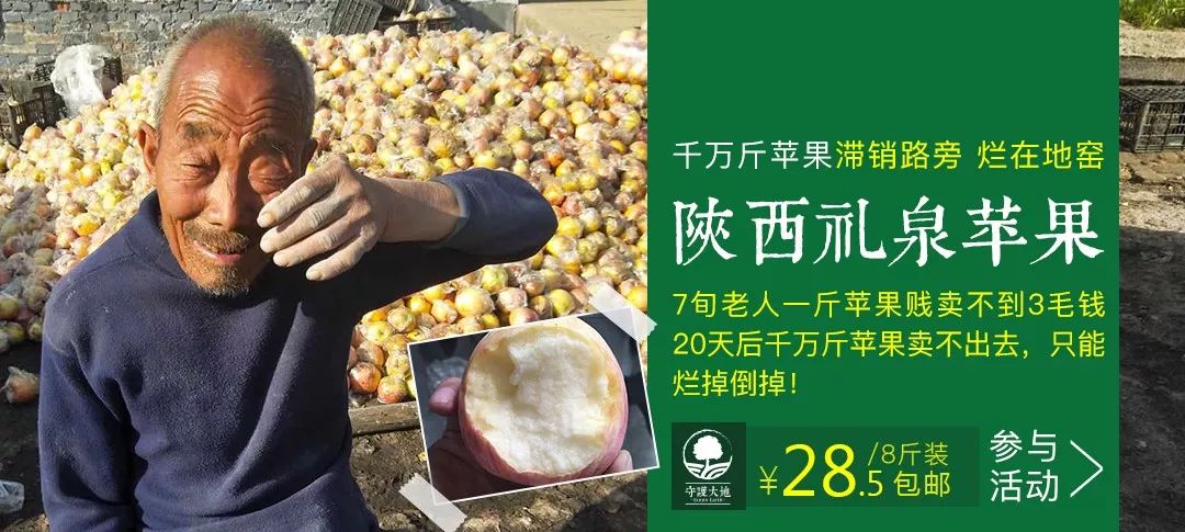 农业是不是下一个创业风口,农业创业的新模式