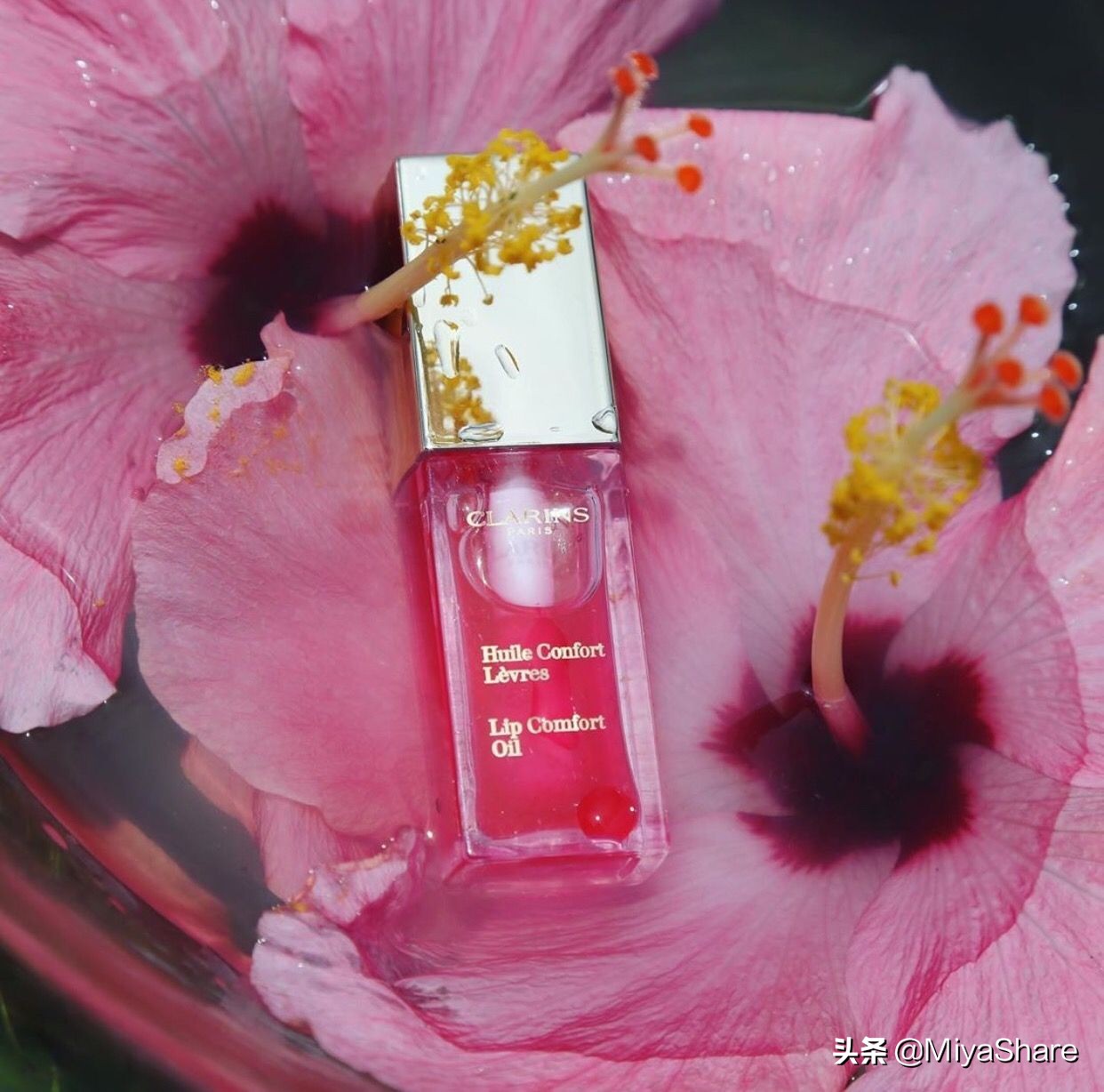 娇韵诗测评真实好用吗,娇韵诗测评视频